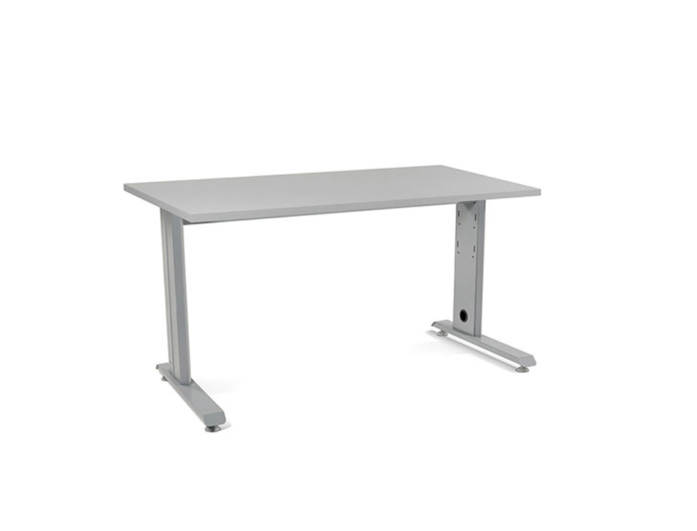 MESA DE OFICINA ROCADA METAL 2001AC02 GRIS/GRIS 140X80 CM