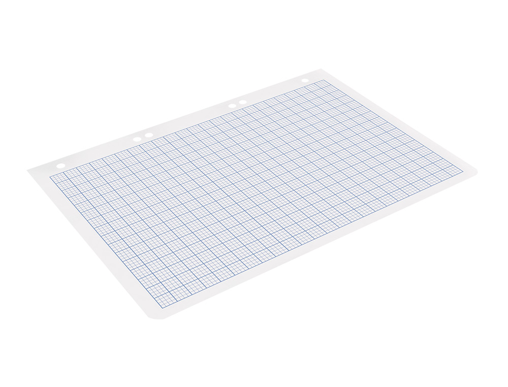 RECAMBIO LIDERPAPEL DIN A5 100 HOJAS 75GR RAYADO Nº 46 6 TALADROS