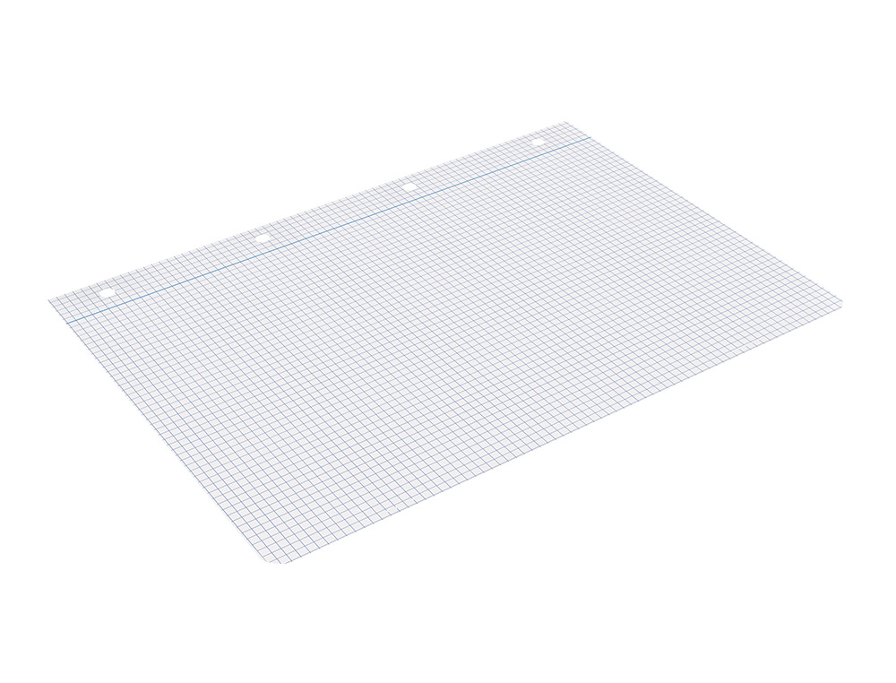 RECAMBIO LIDERPAPEL A4 100 HOJAS 100GR CUADRO 4MM CON M ARGEN 4 TALADROS